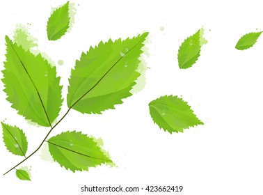 Background from flying green leaves