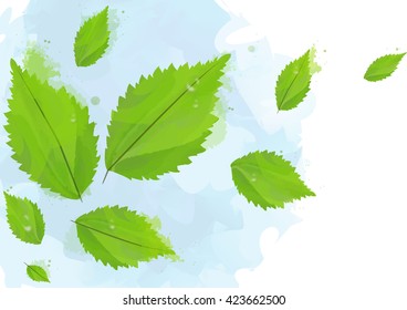 Background from flying green leaves