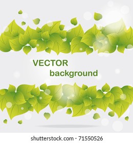 Background from  flying green leaves