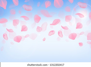 Background with flying pink cherry petals, blue sky and bright sun. banner with sakura flowers, vector illustration
