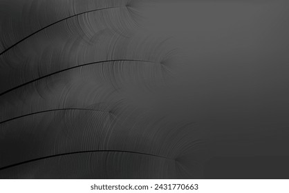  Background of flying realistic vector  goose or swan black feathers.Ecological feather filler for pillows, blankets or jackets.Vector concept design.