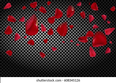 Background with flying red rose petals on a transparent background. Vector illustration.