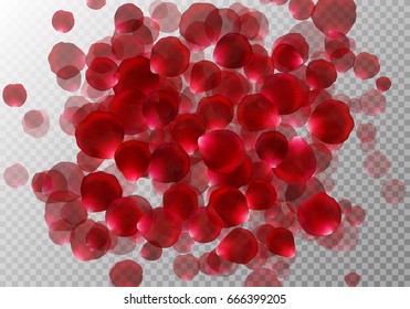 Background with flying rose petals on a transparent backdrop. Vector pattern for love congratulations.
