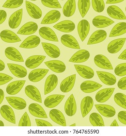 Background from foliage