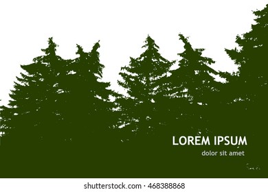 Background forest with fir trees. Vector