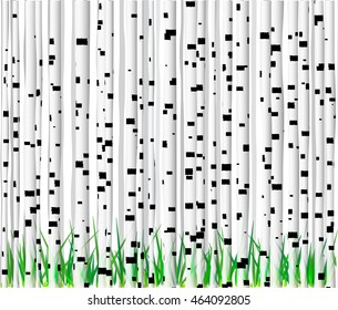 Background in the form of white birch trunks with black spots of different shapes and green grass.