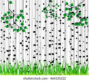 Background in the form of white birch trunks with black spots of different shapes and green grass.