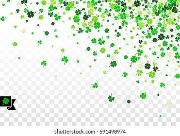 Background with four leaved greenery clover and shamrock for Saint Patrick's Day greeting isolated on white transparent background. Vector illustration