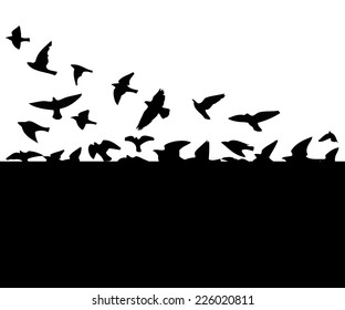 Background frame black white flying birds. Vector 