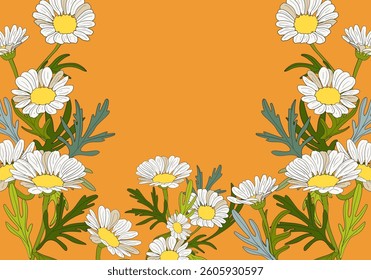 Background frame with blooming daisies in vector.