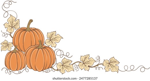 Background, frame, border with pumpkin, halloween, thanksgiving element design, Pumpkin thanksgiving element vector illustration