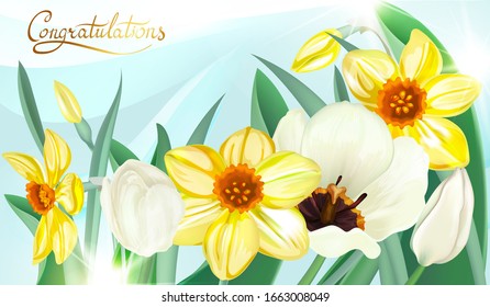 Background, frame of flowers of tulips and daffodils, daffodils. Decorative greeting card , happy birthday, wedding, happy mother 's day, advertising, sales, discounts, labels