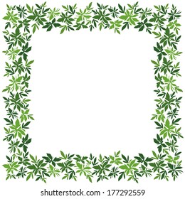 Background, frame of green leaves isolated on white background. Vector