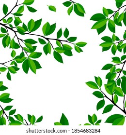 Marco de fondo hecho de hojas verdes. Medios mixtos. Ilustración del vector