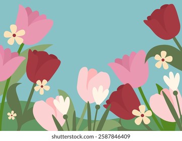 Background frame with tulips, snowdrops and daisies in vector, flat style.