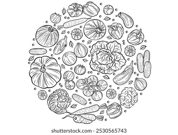 Fondo Líneas de vegetales a mano alzada, círculos, líneas, puntos, utilizados como fondo para agregar letras. Se utiliza como fondo para el texto.