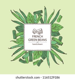 Background with french green beans: plant, pod and seed of green beans. Vector hand drawn illustration