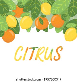 Background with fresh citrus fruits. Tropical summer decoration. Lemons and oranges. Citrus forest, fruits with leaves, cartoon style. Vector illustration isolated on white background. 