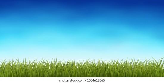 Background with fresh green grass, with blue cky, spring or summer realistic vector background, Eps 10 contasins transparency.