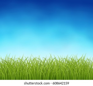 Background with fresh green grass, with blue sky, spring or summer realistic vector background, Eps 10 contains transparency.
