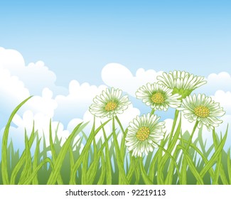 Background with fresh green grass and daisies