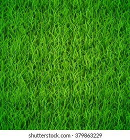 Background of fresh green grass, vector illustration
