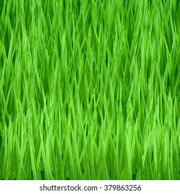 Background of fresh green grass, vector illustration