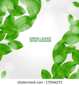 Background with fresh green leaves