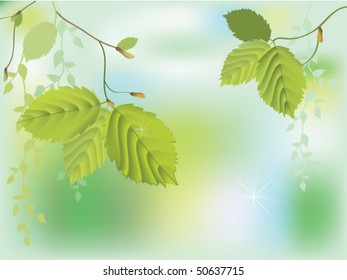 Background of fresh green leaves