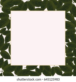 Background with fresh green leaves
