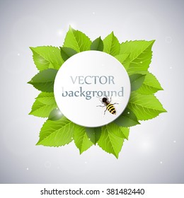 Background with fresh green leaves and bee. Vector illustration.