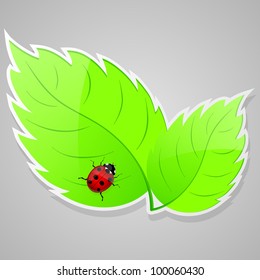 Background with fresh green leaves and ladybird. Vector illustration.