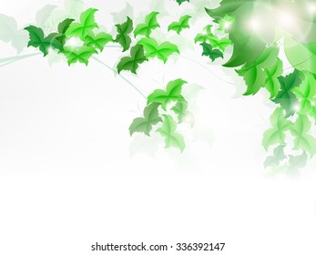 background with fresh green leaves shaped as butterfly.