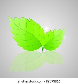 Background with fresh green leaves. Vector illustration.