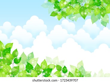 Background of fresh leaves and clouds
