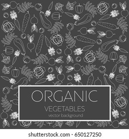 Background with fresh, organic and  healthy vegetables, vector