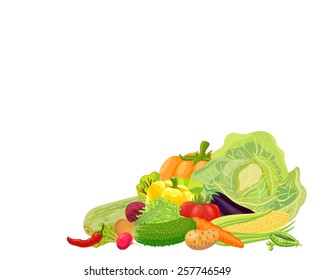 Background. Fresh vegetables from the garden. Carrot, cabbage, green peas, peppers, chili, pumpkin, zucchini, radish, corn, eggplant, tomato, onion, beet, cucumber, potato. With blank place for text