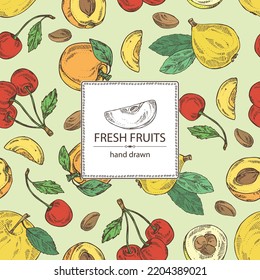 Background with fruits: apple fruit, apricot, japanese: medlar fruit and cherry. Vector hand drawn illustration.