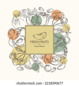 Background with fruits: apple fruit, apricot, japanese: medlar fruit and cherry. Vector hand drawn illustration.