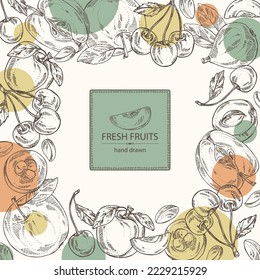 Background with fruits: apple fruit, apricot, japanese: medlar fruit and cherry. Vector hand drawn illustration.