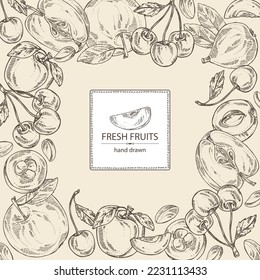 Background with fruits: apple fruit, apricot, japanese: medlar fruit and cherry. Vector hand drawn illustration.