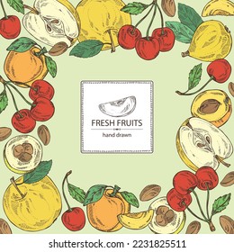 Background with fruits: apple fruit, apricot, japanese: medlar fruit and cherry. Vector hand drawn illustration.
