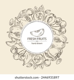 Background with fruits: apple fruit, apricot, japanese: medlar fruit and cherry. Vector hand drawn illustration.