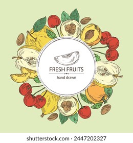 Background with fruits: apple fruit, apricot, japanese: medlar fruit and cherry. Vector hand drawn illustration.