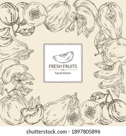 Background with fruits: apple, pear, quince frut and plum. Vector hand drawn illustration.