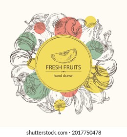 Background with fruits: apple, pear, quince fruit and plum. Vector hand drawn illustration.