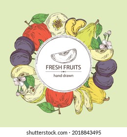 Background with fruits: apple, pear, quince fruit and plum. Vector hand drawn illustration.