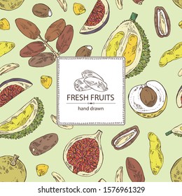 Background with fruits: figs fruit, dates, durian frut and longan. Vector hand drawn illustration.