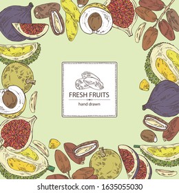 Background with fruits: figs fruit, dates, durian frut and longan. Vector hand drawn illustration.