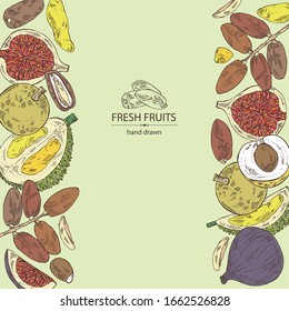 Hintergrund mit Früchten: Feigen Früchte, Datumsangaben, durisches Obst und Langan. Vektorillustration handgezeichnet.